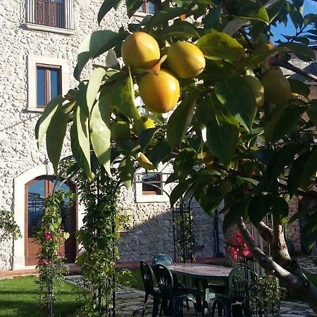 Alloggi Agrituristici Antica Dimora San Demetrio ne' Vestini Exterior foto