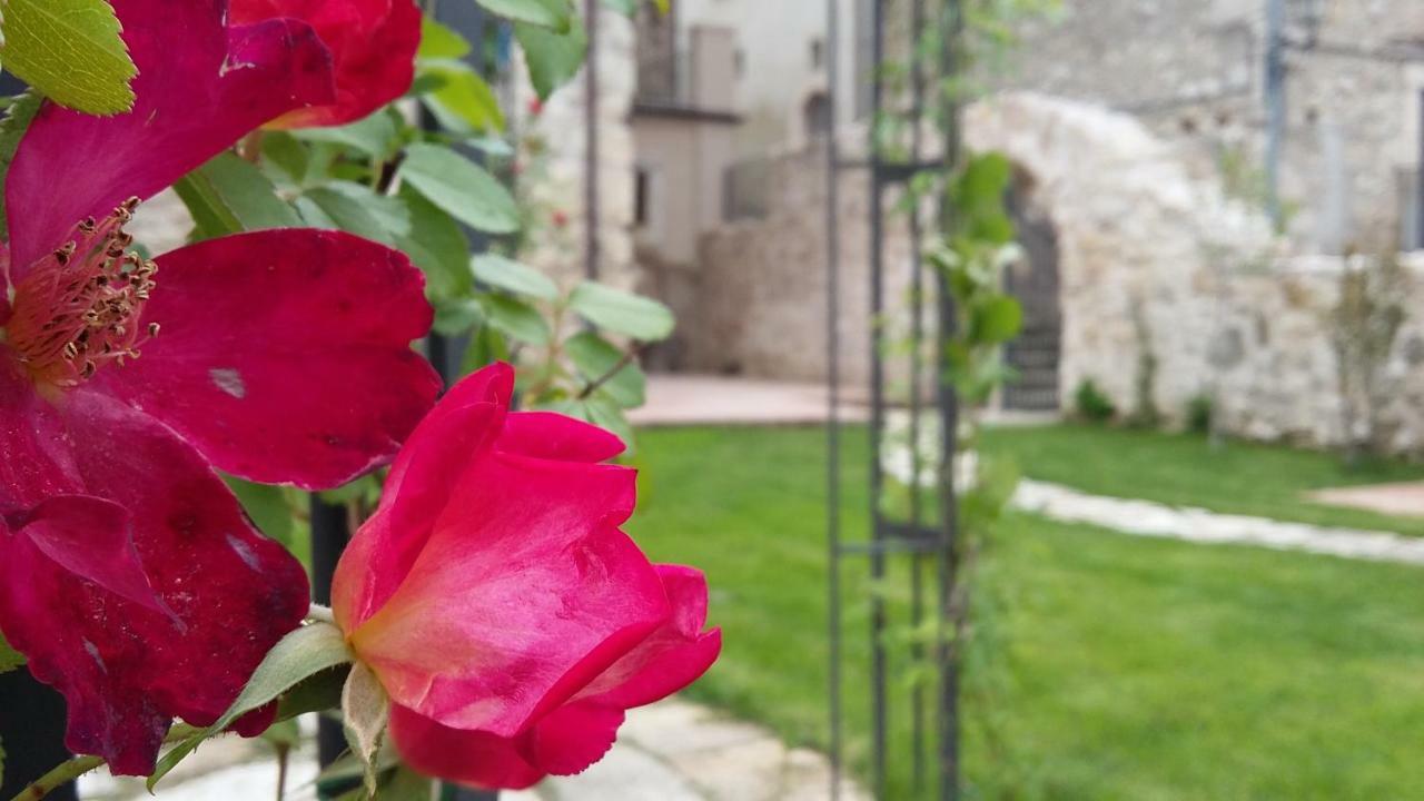 Alloggi Agrituristici Antica Dimora San Demetrio ne' Vestini Exterior foto